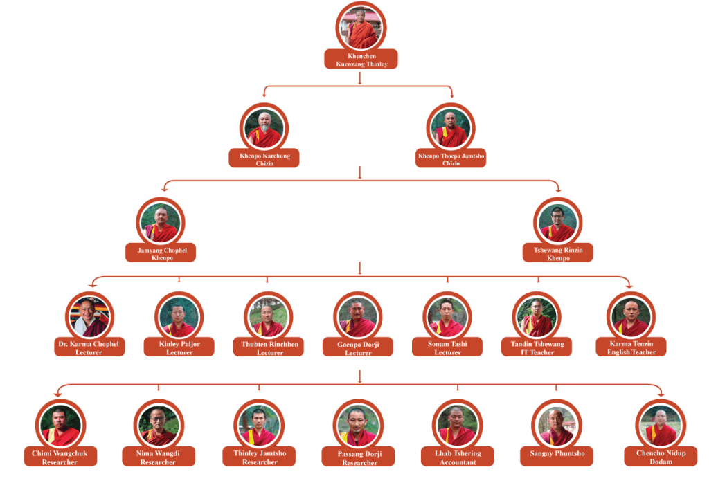 New-organization-01-chart
